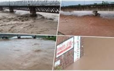 हरियाणा में बाढ़, बारिश से अरावली बांध टूटा, कई गांव डूबे, रेस्‍कयू जारी