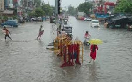 हरियाणा में मानसून ने मचाया हाहाकार, नदियां उफान पर-7 जिलों में बारिश, 4 में ऑरेंज अलर्ट; हिसार समेत 7 जिलों में स्कूल बंद