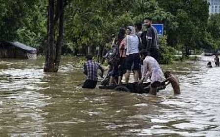 सोनीपत में यमुना खतरे के निशान पर, बारिश से हालात खराब, हजारों एकड फसल डूबी, घरों में भी पानी
