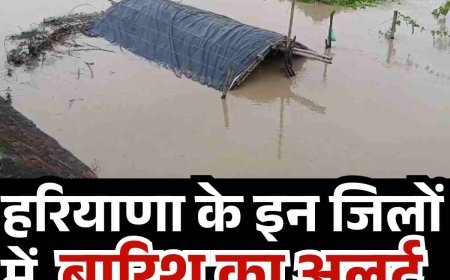 हरियाणा में 20 जिलों में बारिश का अलर्ट, कई नदियां खतरे के निशान से ऊपर