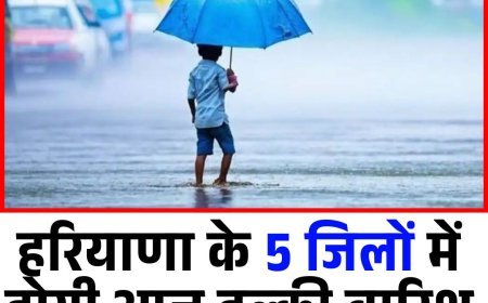 हरियाणा के 5 जिलों में होगी आज हल्की बारिश, जानें आपके शहर में मौसम का हाल