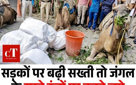 सड़कों पर बढ़ी सख्ती तो जंगल के रास्ते ऊंटों पर करने लगे शराब की तस्करी, 5 गिरफ्तार