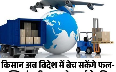 किसान अब विदेश में बेच सकेंगे फल- सब्जियां, हरियाणा से दुबई के लिए इंटरनेशनल कारगो फ्लाइट शुरू होने की तैयारी