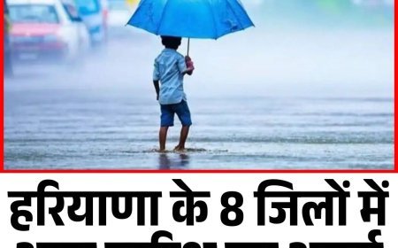 हरियाणा के 8 जिलों में आज बारिश का अलर्ट, जानें आपके शहर में मौसम का हाल