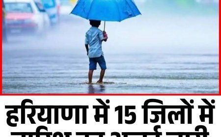 हरियाणा में 15 जिलों में बारिश का अलर्ट जारी, जानें आपके शहर में मौसम का हाल