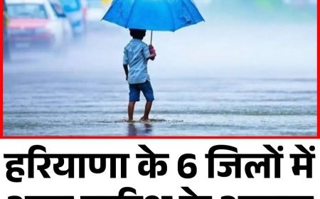 हरियाणा के 6 जिलों में आज बारिश के आसार, जानें आपके शहर में मौसम का हाल
