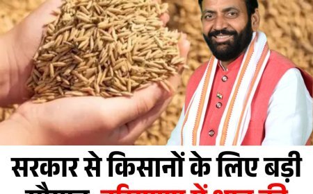 सरकार से किसानों के लिए बड़ी सौगात, हरियाणा में धान की कीमतें बढ़ीं, सरकारी खरीद जल्द