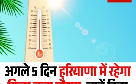 अगले 5 दिन हरियाणा में रहेगा मिला जुला मौसम, जानें किस जिले में होगी सबसे अधिक गर्मी