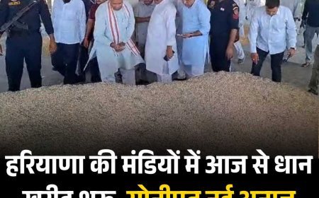 हरियाणा की मंडियों में आज से धान खरीद शुरू, सोनीपत नई अनाज मंडी में पहुंचे BJP अध्यक्ष बड़ोली