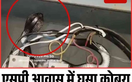 एसपी आवास में घुसा कोबरा सांप,  मची अफरातफरी