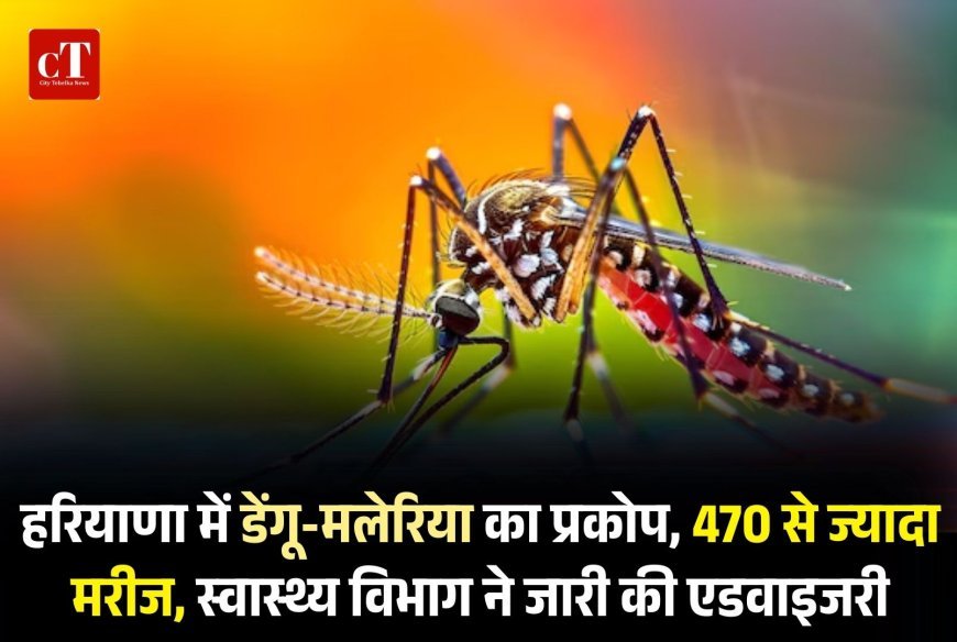 हरियाणा में डेंगू-मलेरिया का प्रकोप, 470 से ज्यादा मरीज, स्वास्थ्य विभाग ने जारी की एडवाइजरी