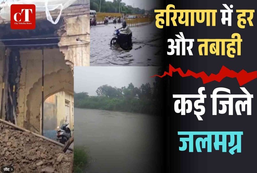 हरियाणा में बारिश का कहर, हिसार में महिला की मौत, कई जिले जलमग्न