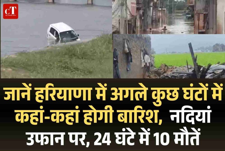 जानें हरियाणा मेंअगले कुछ घंटों में यहां-यहां होगी बारिश,  नदियां उफान पर, 24 घंटे में 10 मौतें
