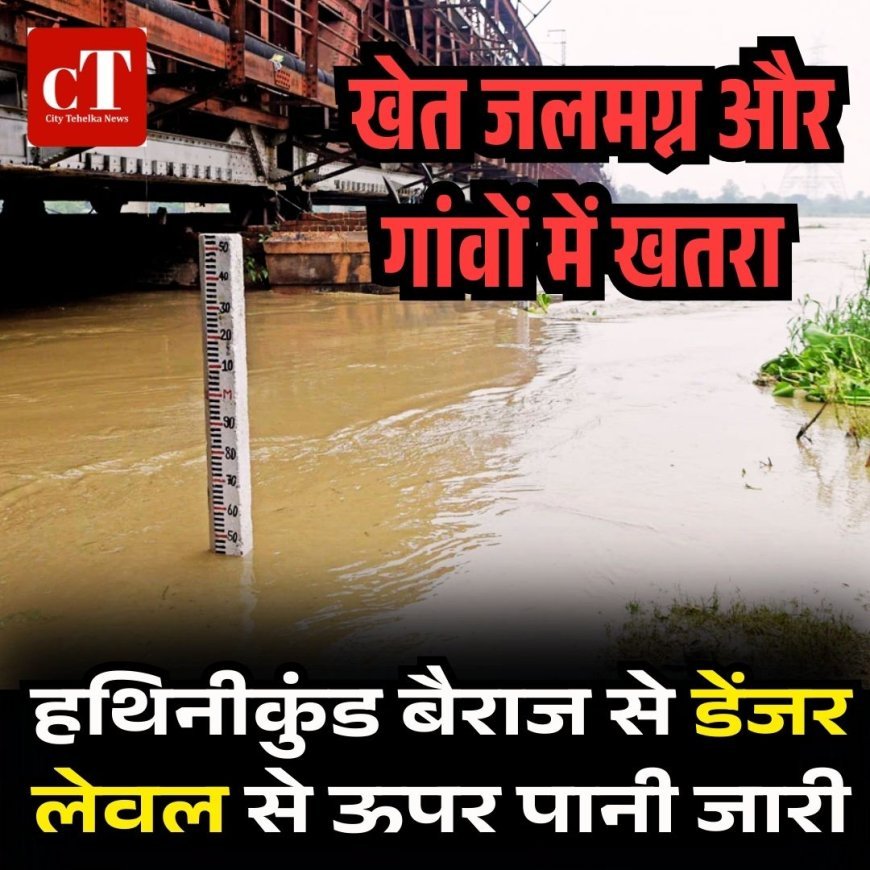 खेत जलमग्न और गांवों में खतरा: हथिनीकुंड बैराज से डेंजर लेवल से ऊपर पानी जारी