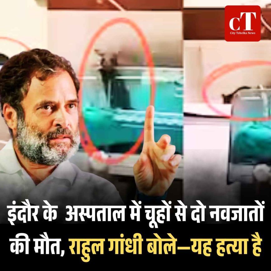 इंदौर में चूहों से दो नवजातों की मौत, राहुल गांधी बोले—यह हत्या है