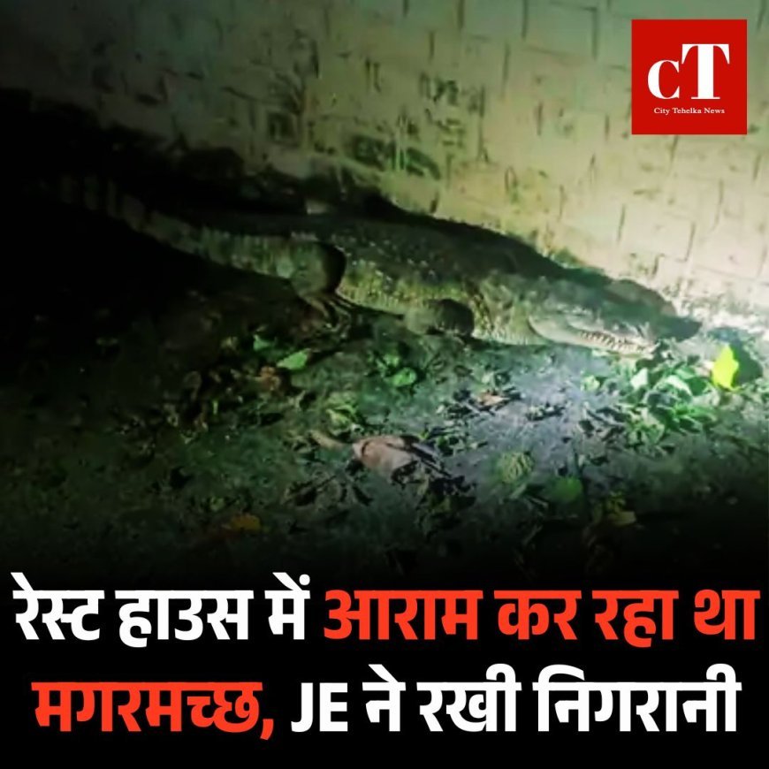 रेस्ट हाउस में आराम कर रहा था मगरमच्छ, JE ने रखी निगरानी