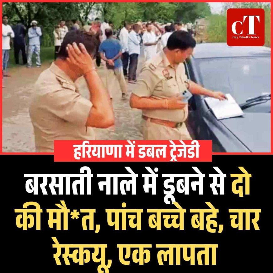 हरियाणा में बरसाती नाले में डूबने से दो की मौत