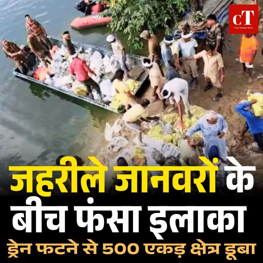 जहरीले जानवरों के बीच फंसा इलाका : ड्रेन फटने से 500 एकड़ क्षेत्र डूबा