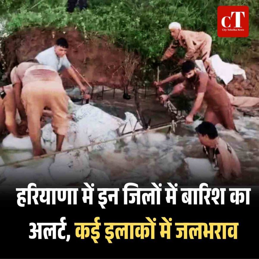 हरियाणा में इन जिलों में बारिश का अलर्ट, कई इलाकों में जलभराव