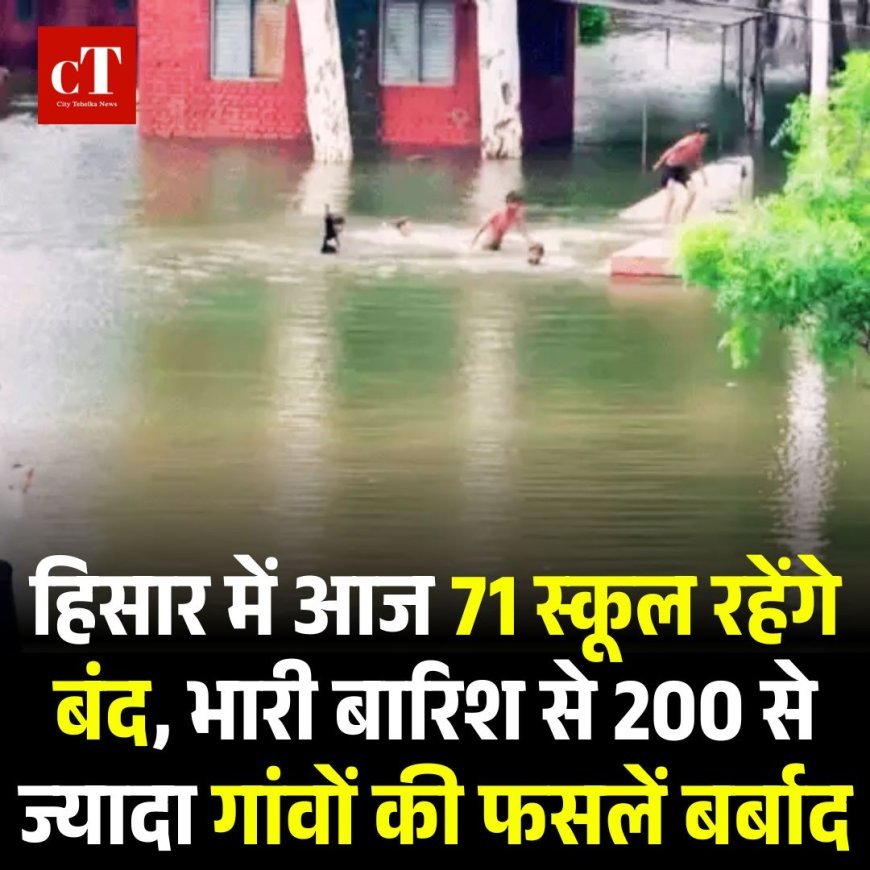 हिसार में आज 71 स्कूल रहेंगे बंद, भारी बारिश से 200 से ज्यादा गांवों की फसलें बर्बाद