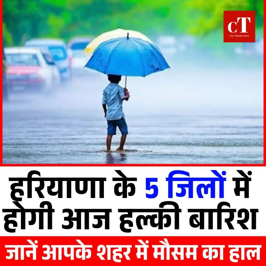 हरियाणा के 5 जिलों में होगी आज हल्की बारिश, जानें आपके शहर में मौसम का हाल