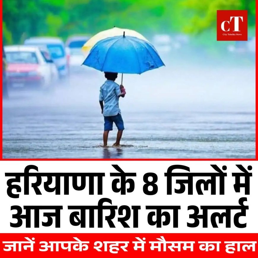 हरियाणा के 8 जिलों में आज बारिश का अलर्ट, जानें आपके शहर में मौसम का हाल