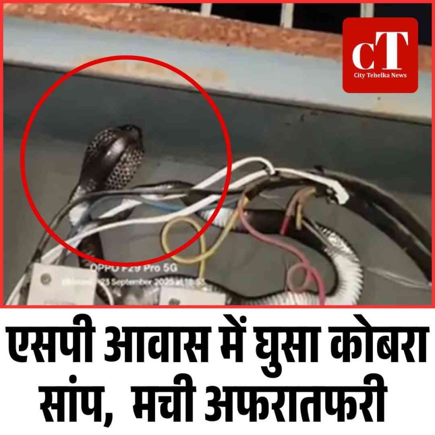 एसपी आवास में घुसा कोबरा सांप,  मची अफरातफरी