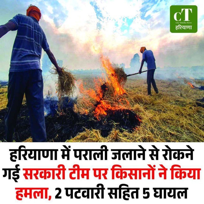 हरियाणा में पराली जलाने से रोकने गई सरकारी टीम पर किसानों ने किया हमला, 2 पटवारी सहित 5 घायल