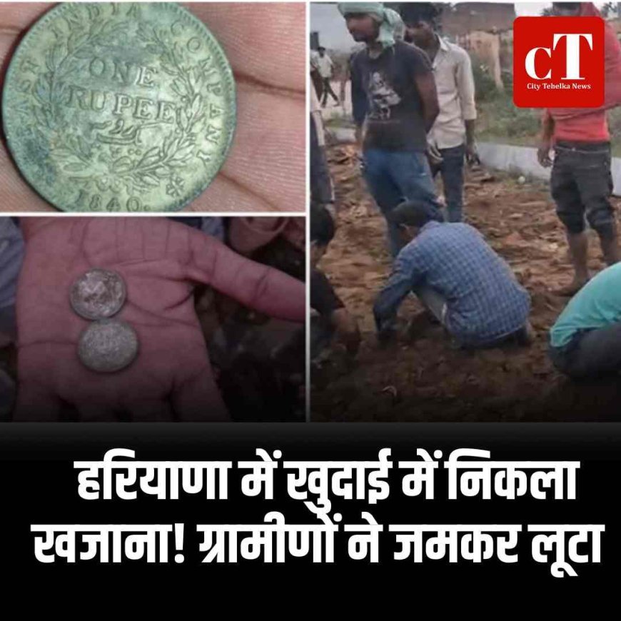 हरियाणा में खुदाई में निकला खजाना! ग्रामीणों ने जमकर लूटा