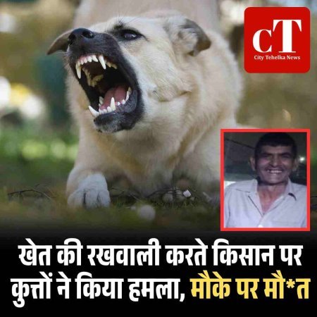 खेत की रखवाली करते किसान पर कुत्तों ने किया हमला, मौके पर मौ*त