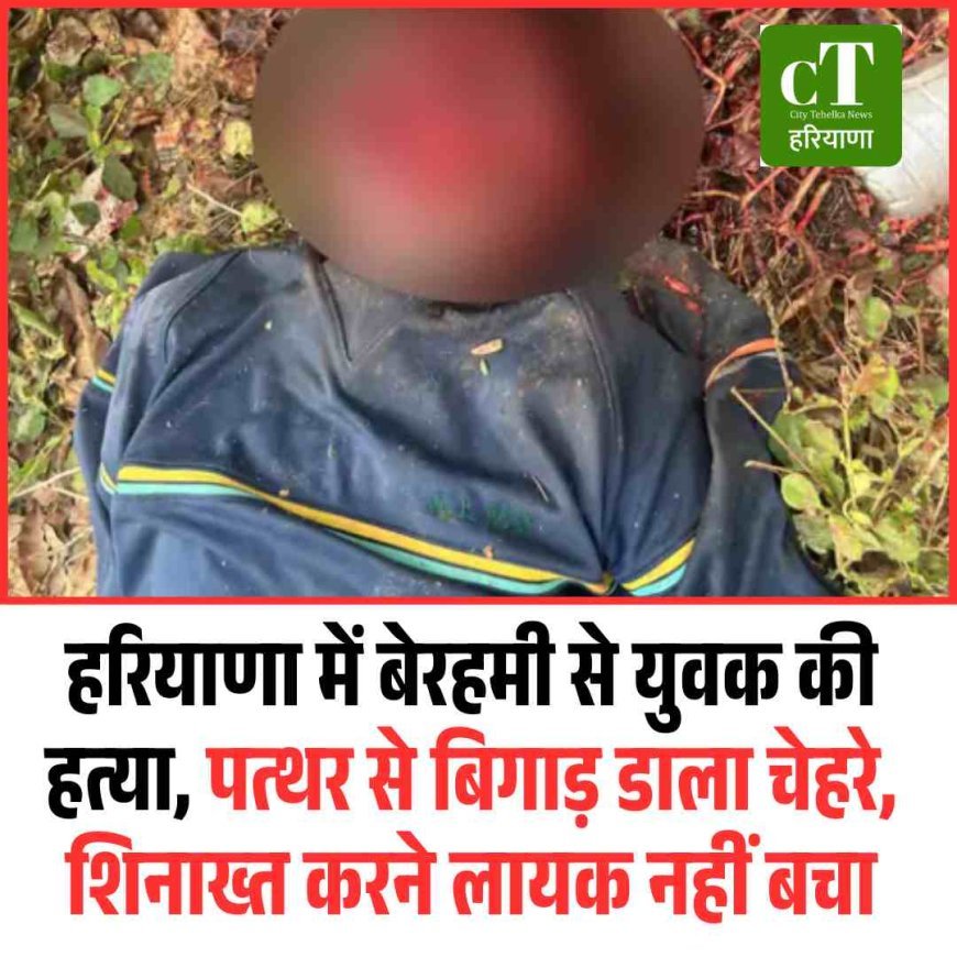 हरियाणा में बेरहमी से युवक की हत्‍या, पत्‍थर से बिगाड़ डाला चेहरे, शिनाख्‍त करने लायक नहीं बचा