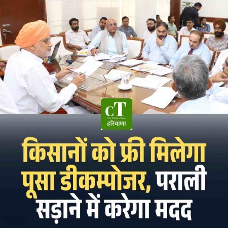 किसानों को फ्री मिलेगा पूसा डीकम्पोजर, पराली सड़ाने में करेगा मदद