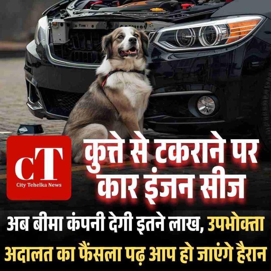 कुत्ते से टकराने पर कार इंजन सीज, अब बीमा कंपनी देगी इतने लाख, उपभोक्‍ता अदालत का फैंसला पढ़ आप हो जाएंगे हैरान