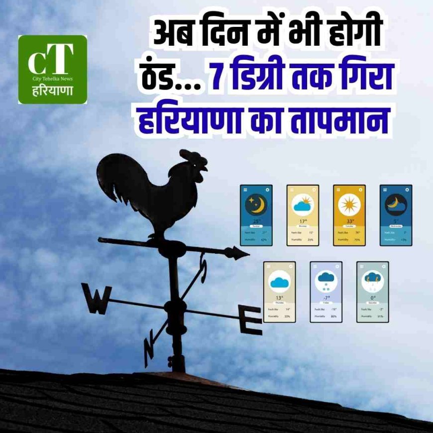 अब दिन में भी होगी ठंड... 7 डिग्री तक गिरा हरियाणा का तापमान