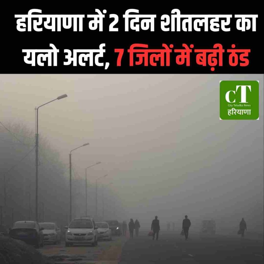 हरियाणा में 2 दिन शीतलहर का यलो अलर्ट, 7 जिलों में बढ़ी ठंड