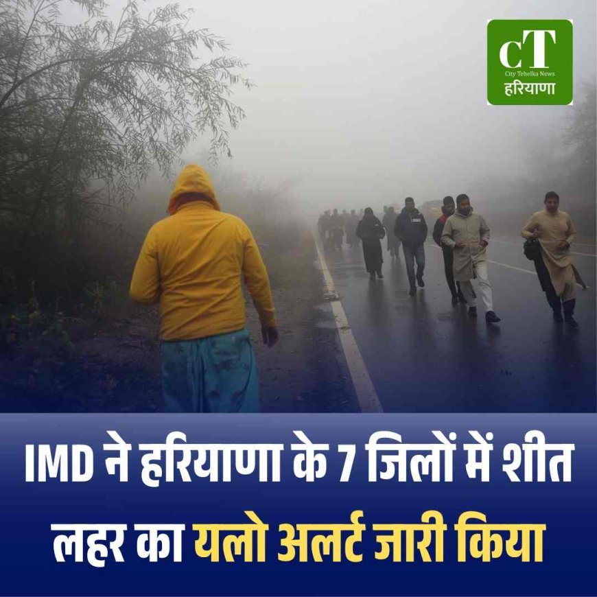 IMD ने हरियाणा के 7 जिलों में शीत लहर का यलो अलर्ट जारी किया