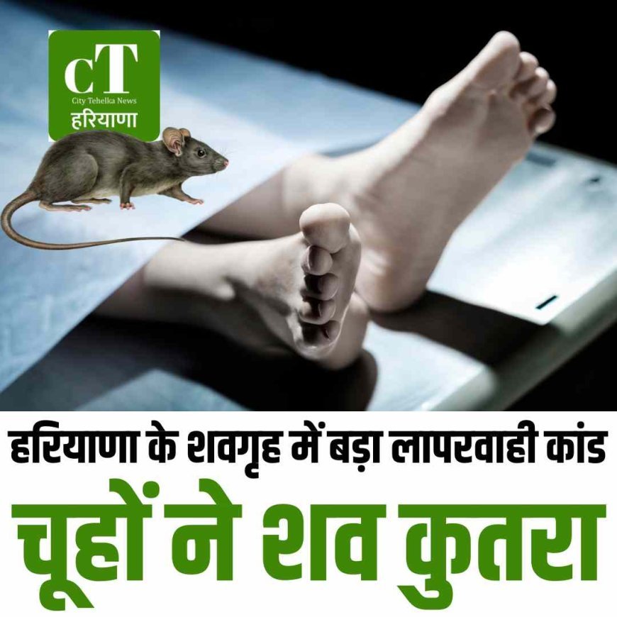 जींद के शवगृह में बड़ा लापरवाही कांड, चूहों ने शव कुतरा