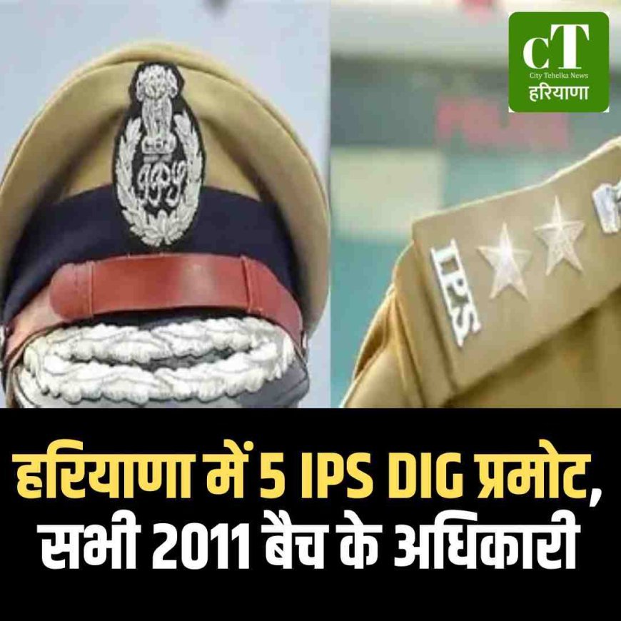 हरियाणा में 5 IPS DIG प्रमोट, सभी 2011 बैच के अधिकारी