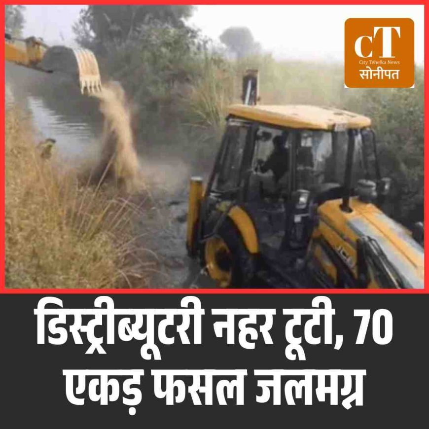 गोहाना में रोहतक डिस्ट्रीब्यूटरी नहर टूटी, 70 एकड़ फसल जलमग्न