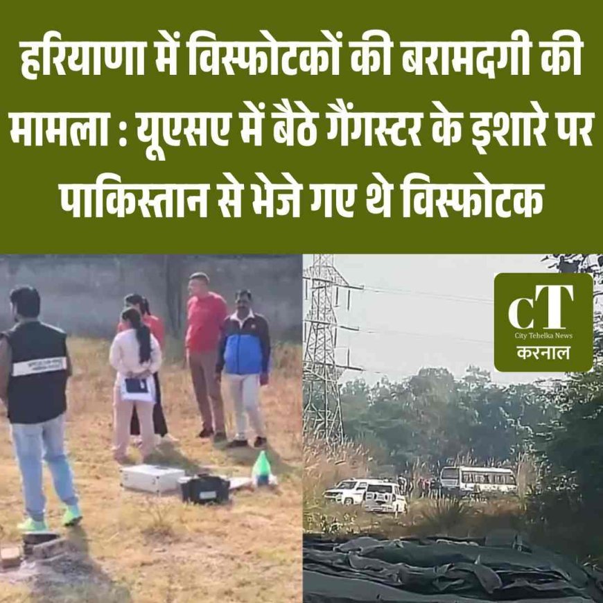 हरियाणा में विस्‍फोटकों की बरामदगी की मामला  : यूएसए में बैठे गैंगस्टर के इशारे पर पाकिस्तान से भेजे गए थे विस्‍फोटक