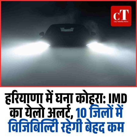 हरियाणा में घना कोहरा: IMD का येलो अलर्ट, 10 जिलों में विजिबिल्टिी रहेगी बेहद कम