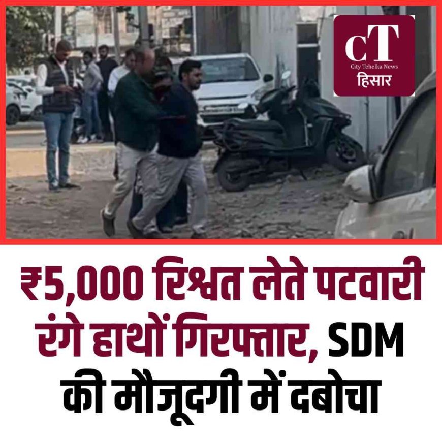 ₹5,000 रिश्वत लेते पटवारी रंगे हाथों गिरफ्तार, SDM की मौजूदगी में दबोचा