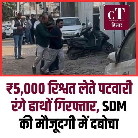 ₹5,000 रिश्वत लेते पटवारी रंगे हाथों गिरफ्तार, SDM की मौजूदगी में दबोचा