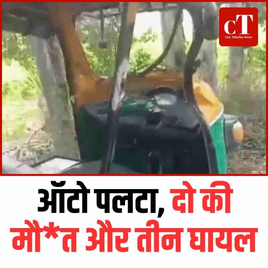 ऑटो पलटा, दो की मौ*त और तीन घायल