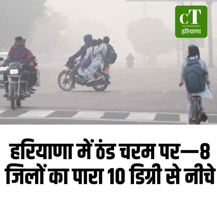 हरियाणा में ठंड चरम पर—8 जिलों का पारा 10 डिग्री से नीचे