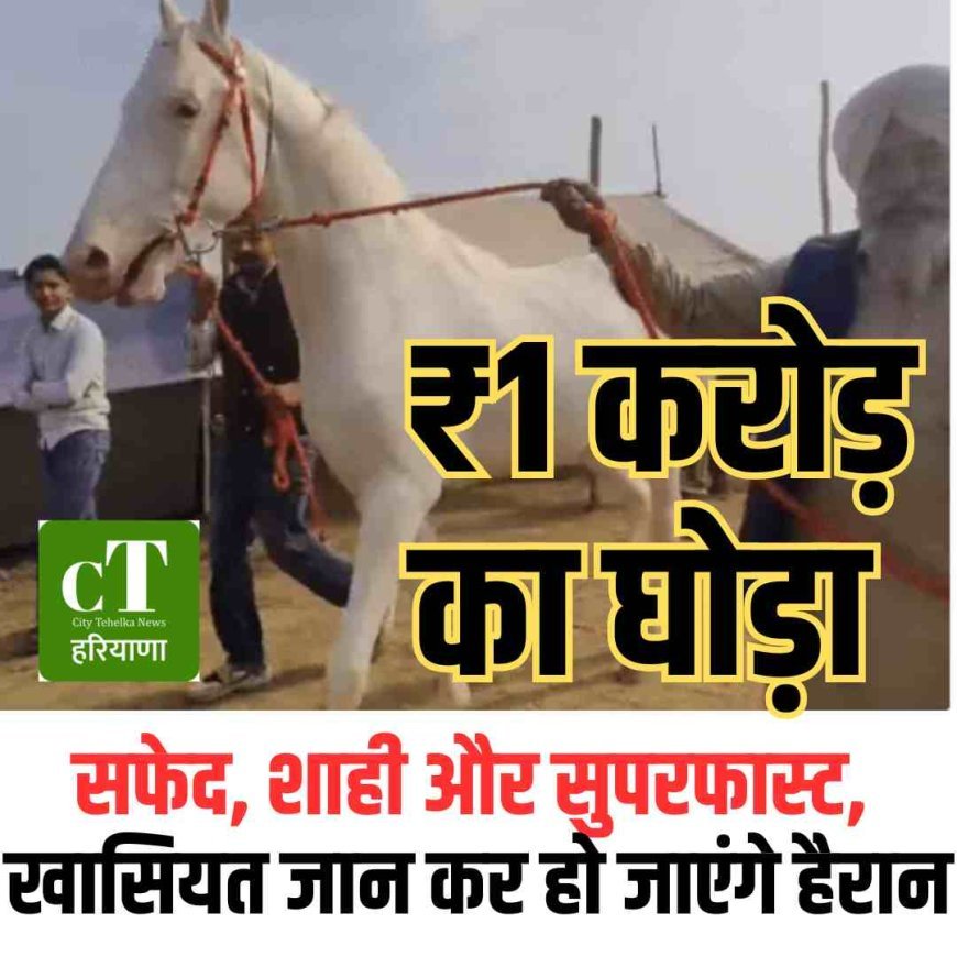 सफेद, शाही और सुपरफास्ट, ₹1 करोड़ का घोड़ा , खासियत जानइ कर हो जाएंगे हैरान