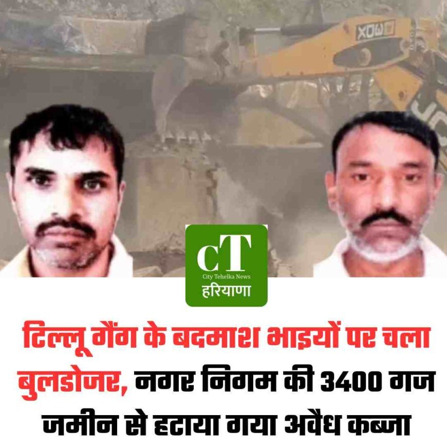 टिल्लू गैंग के बदमाश भाइयों पर चला बुलडोजर, नगर निगम की 3400 गज जमीन से हटाया गया अवैध कब्जा