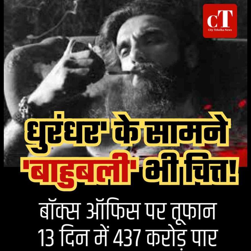 धुरंधर का बॉक्स ऑफिस पर तूफान, 13 दिन में 437 करोड़ पार