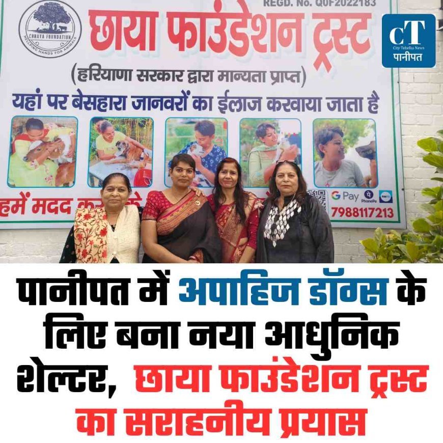 पानीपत में अपाहिज डॉग्स के लिए बना नया आधुनिक शेल्टर,  छाया फाउंडेशन ट्रस्ट का सराहनीय प्रयास