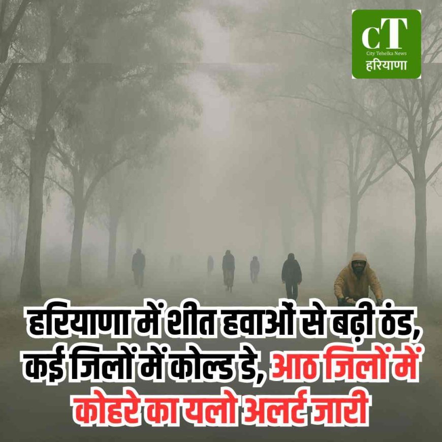 हरियाणा में शीत हवाओं से बढ़ी ठंड, कई जिलों में कोल्ड डे,आठ जिलों में कोहरे का यलो अलर्ट जारी